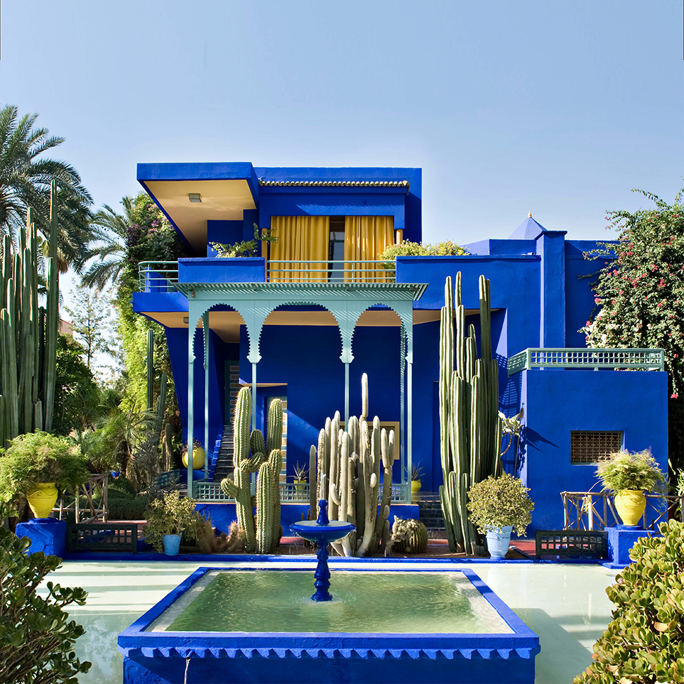 activités marrakech en famille Marrakech Insiders jardins de majorelle Yves saint laurent